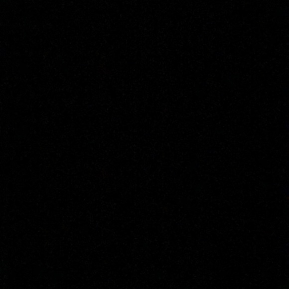 Meet your Posher, Yasmine - Picture 1 of 1